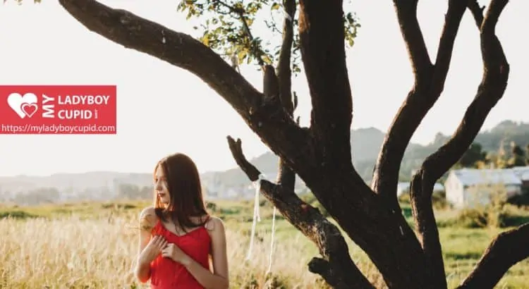 Why are men so interested in dating Ladyboys?